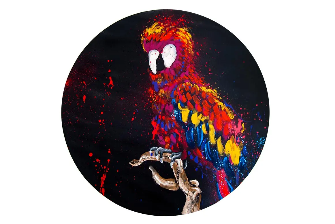 Parrot
